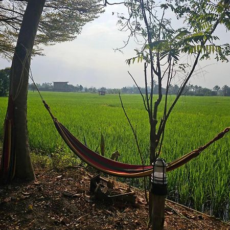 Tung Tong Homestay & Camping Mae Rim Εξωτερικό φωτογραφία