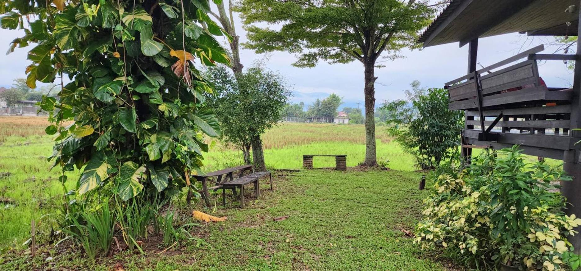 Tung Tong Homestay & Camping Mae Rim Εξωτερικό φωτογραφία