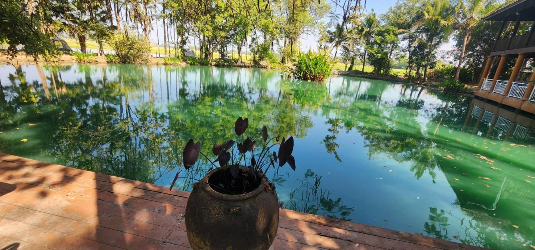 Tung Tong Homestay & Camping Mae Rim Εξωτερικό φωτογραφία