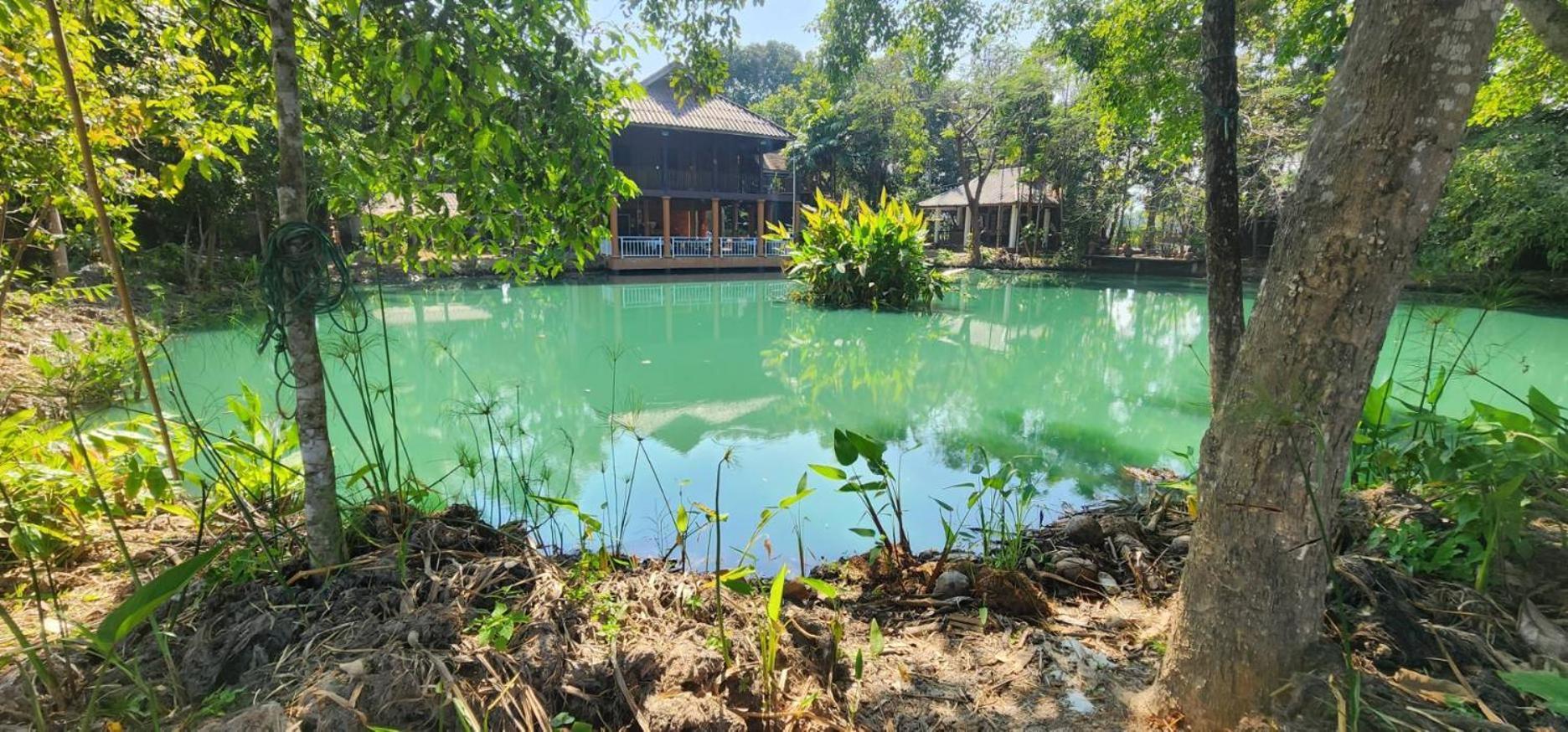 Tung Tong Homestay & Camping Mae Rim Εξωτερικό φωτογραφία