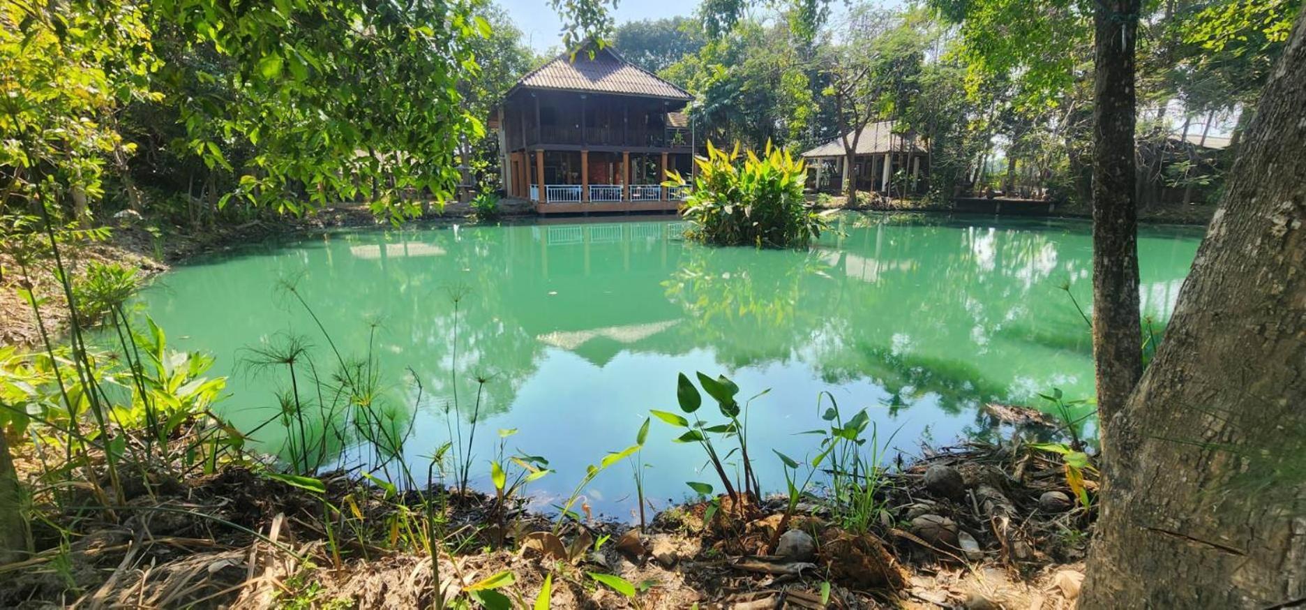 Tung Tong Homestay & Camping Mae Rim Εξωτερικό φωτογραφία