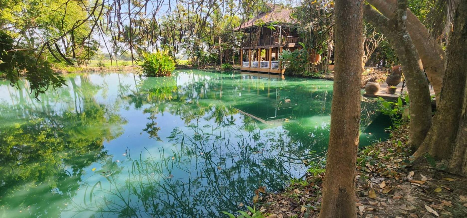 Tung Tong Homestay & Camping Mae Rim Εξωτερικό φωτογραφία