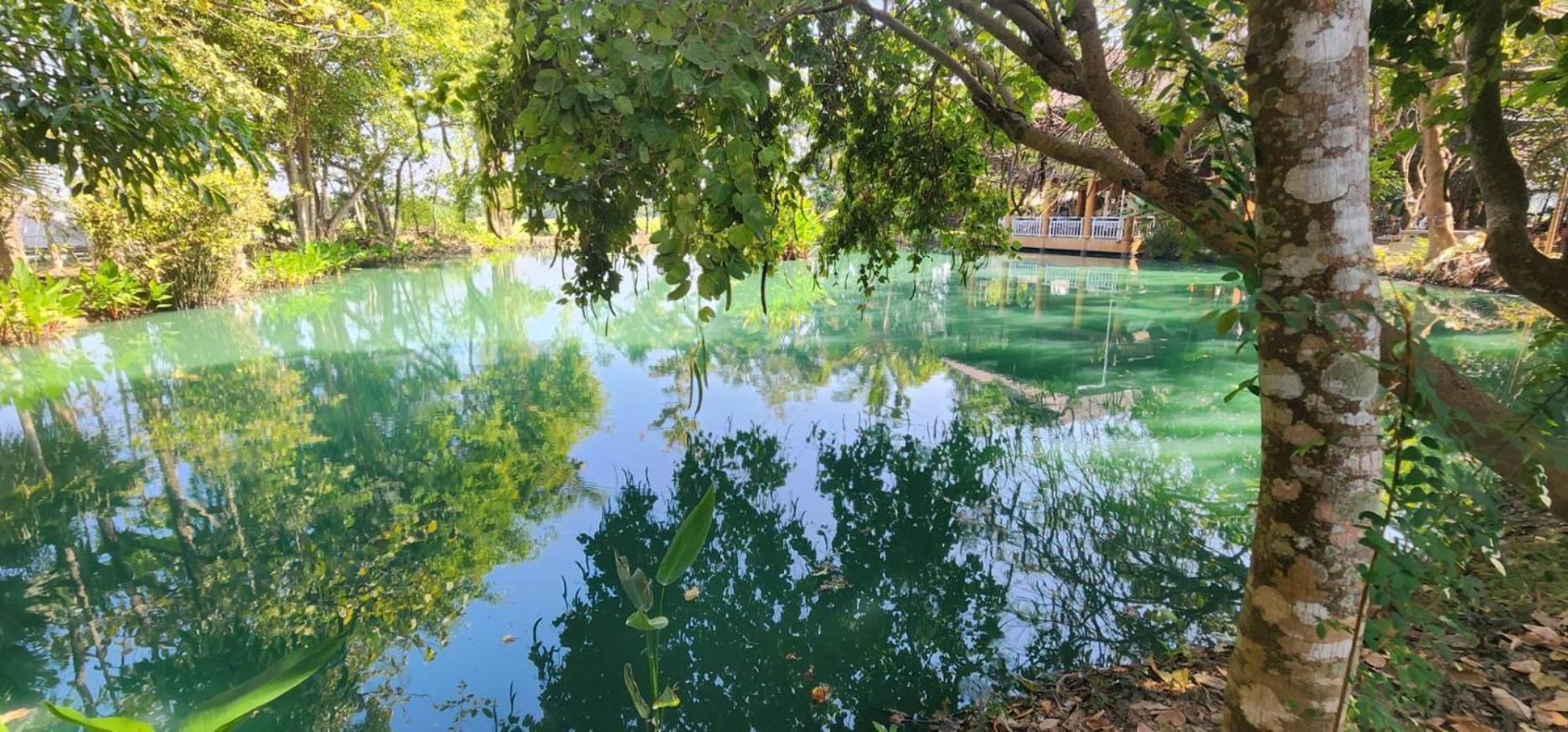 Tung Tong Homestay & Camping Mae Rim Εξωτερικό φωτογραφία