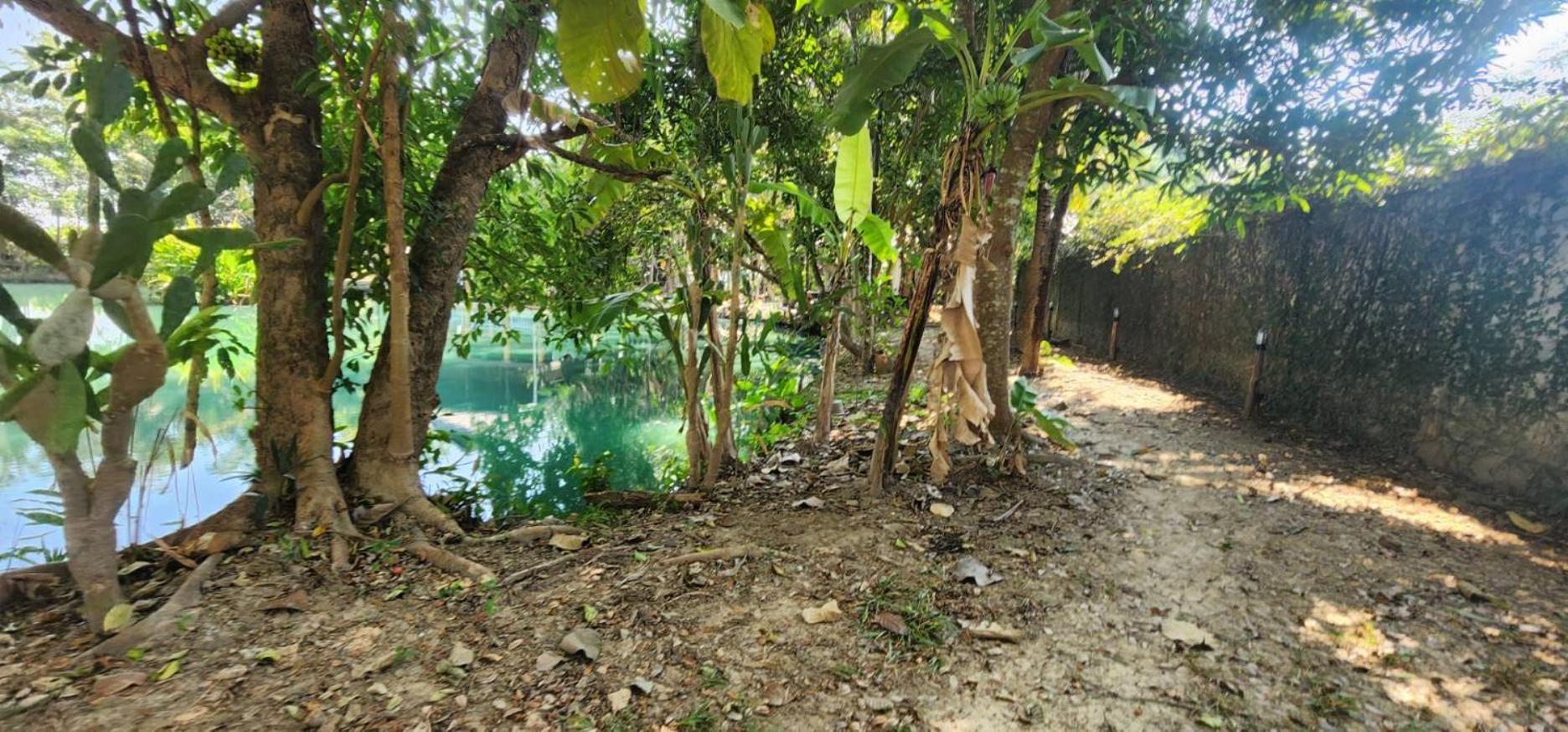 Tung Tong Homestay & Camping Mae Rim Εξωτερικό φωτογραφία