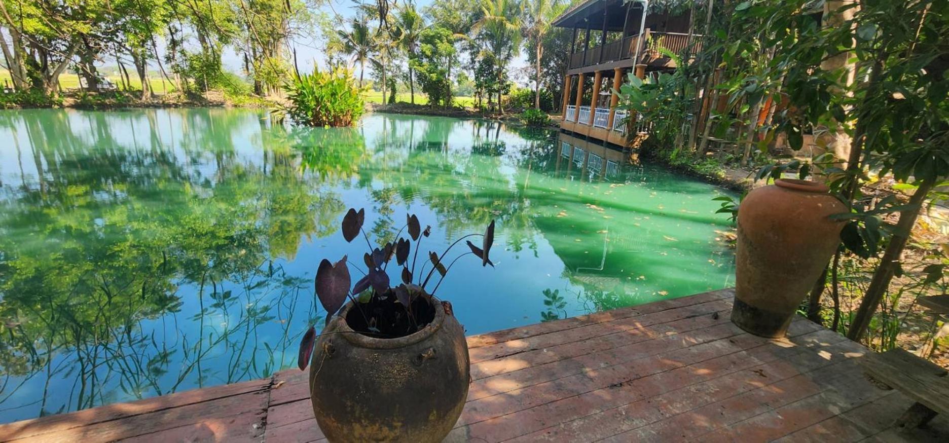 Tung Tong Homestay & Camping Mae Rim Εξωτερικό φωτογραφία