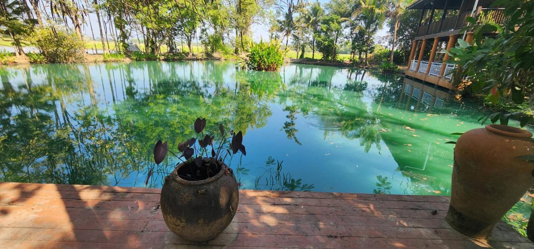 Tung Tong Homestay & Camping Mae Rim Εξωτερικό φωτογραφία