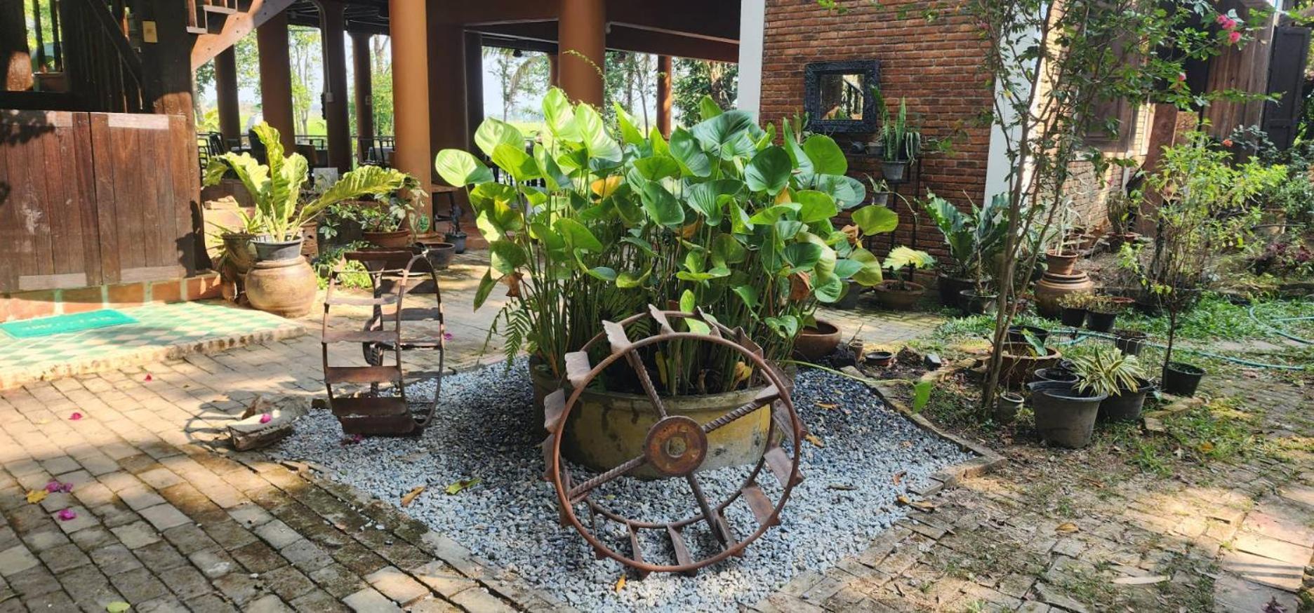 Tung Tong Homestay & Camping Mae Rim Εξωτερικό φωτογραφία