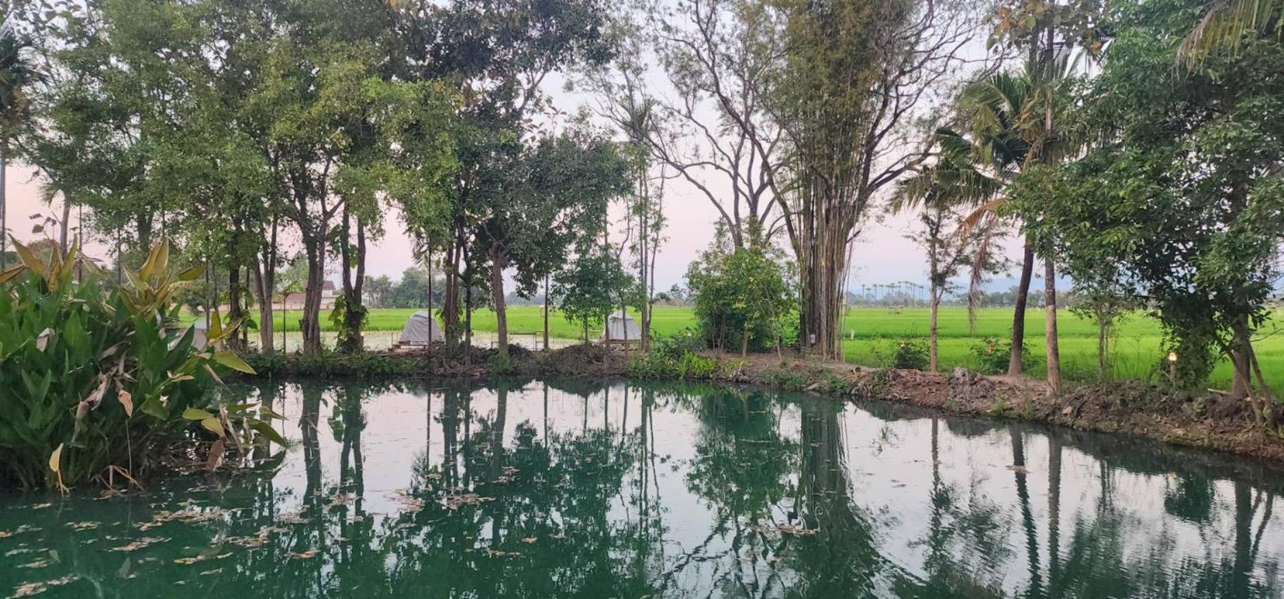Tung Tong Homestay & Camping Mae Rim Εξωτερικό φωτογραφία