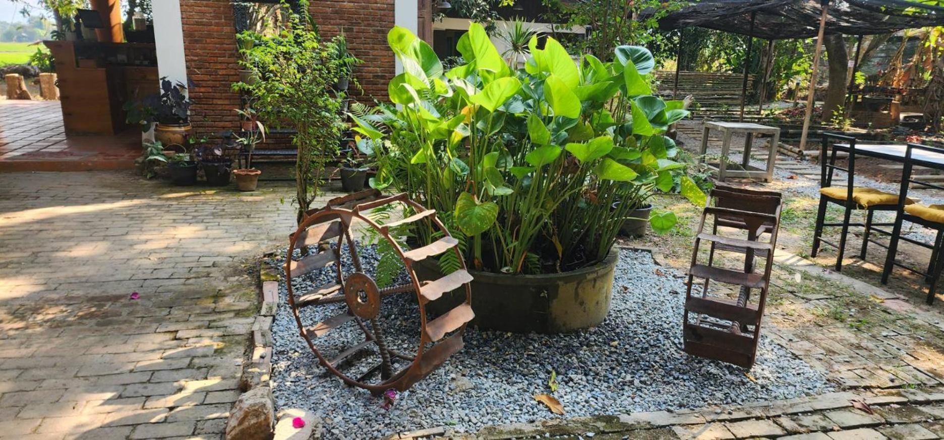 Tung Tong Homestay & Camping Mae Rim Εξωτερικό φωτογραφία