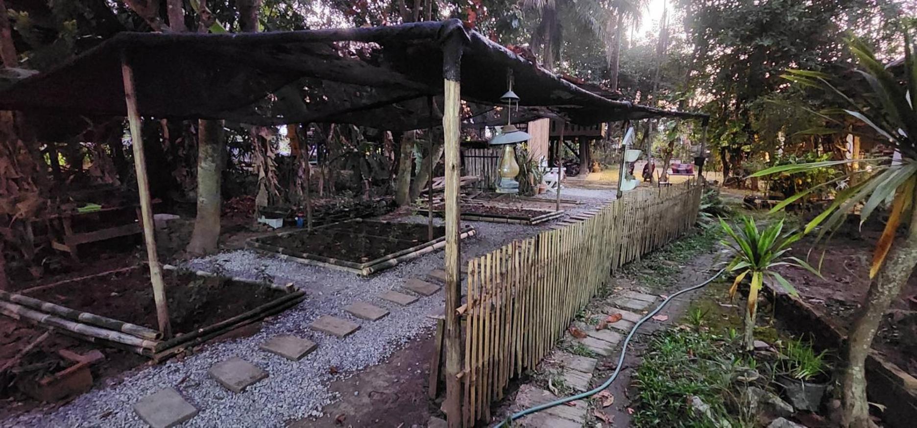 Tung Tong Homestay & Camping Mae Rim Εξωτερικό φωτογραφία