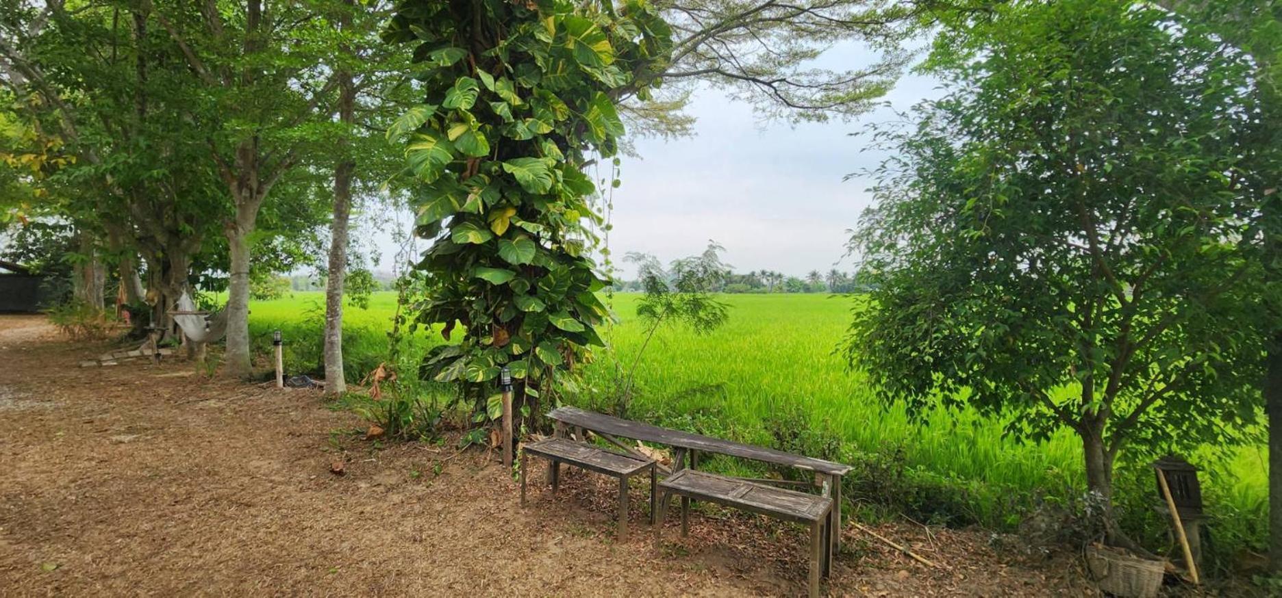 Tung Tong Homestay & Camping Mae Rim Εξωτερικό φωτογραφία