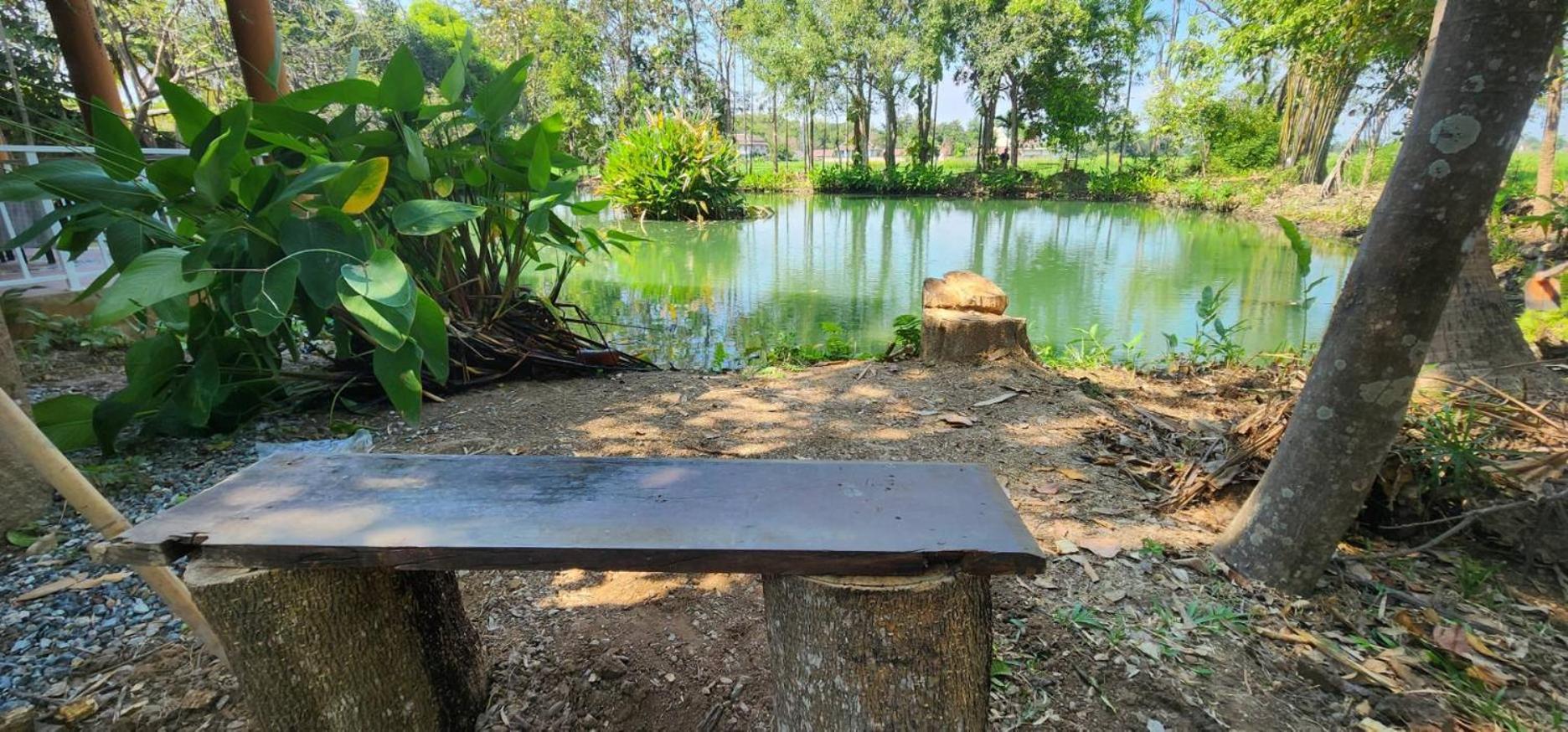 Tung Tong Homestay & Camping Mae Rim Εξωτερικό φωτογραφία