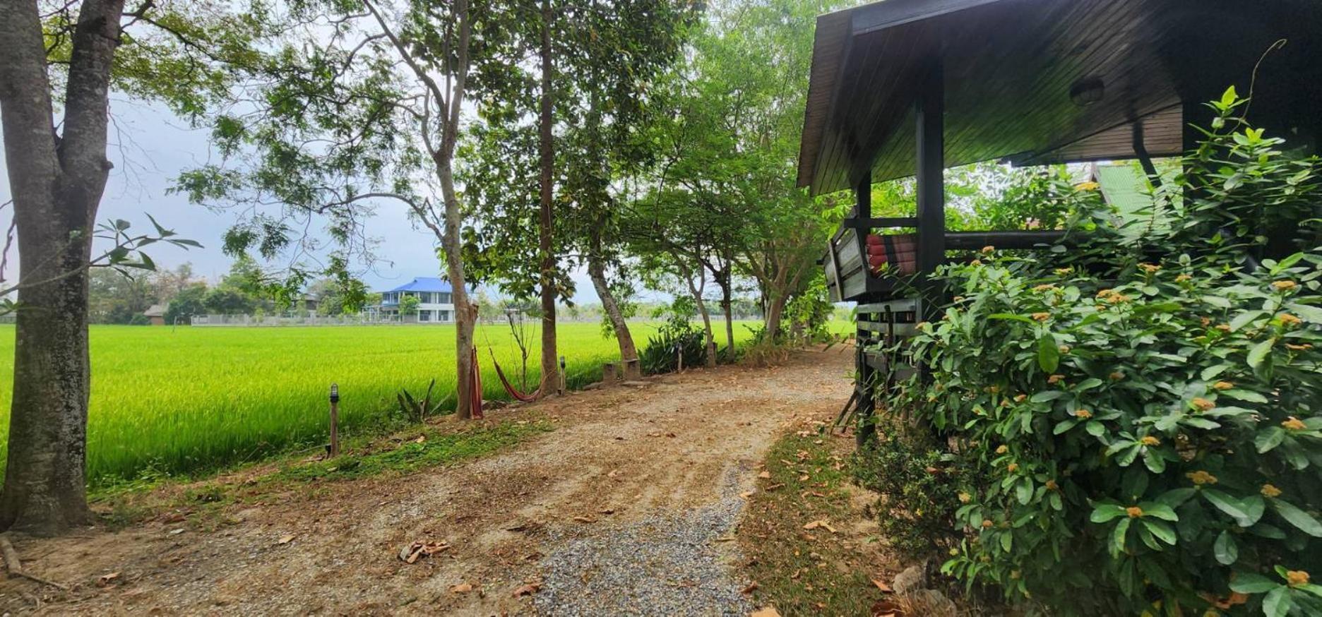 Tung Tong Homestay & Camping Mae Rim Εξωτερικό φωτογραφία