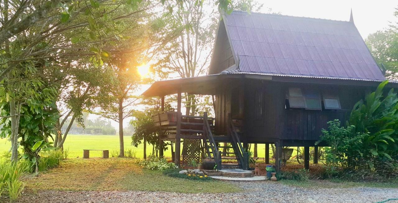 Tung Tong Homestay & Camping Mae Rim Εξωτερικό φωτογραφία